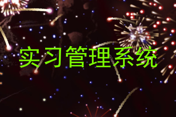 实习管理系统