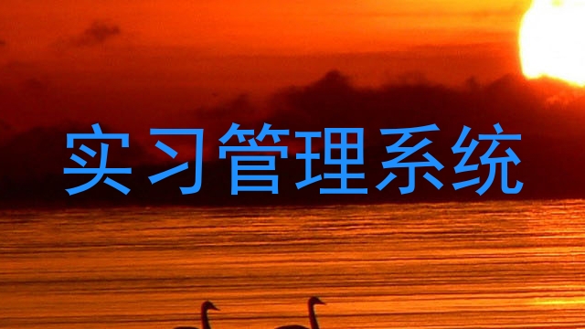 实习管理系统
