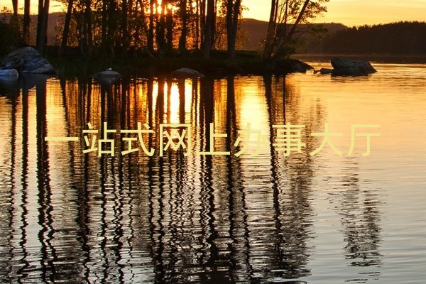 一站式网上办事大厅