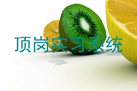 顶岗实习系统