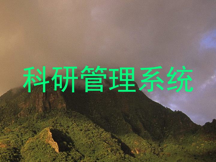 科研管理系统