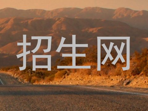 招生网