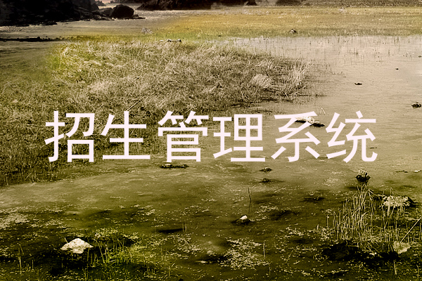 招生管理系统