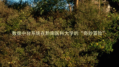 数据中台系统在黔南医科大学的“奇妙冒险”