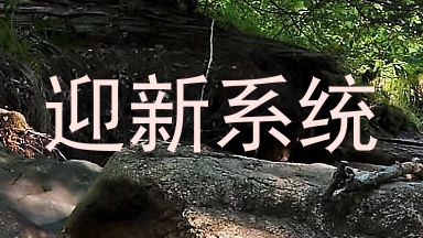 迎新系统
