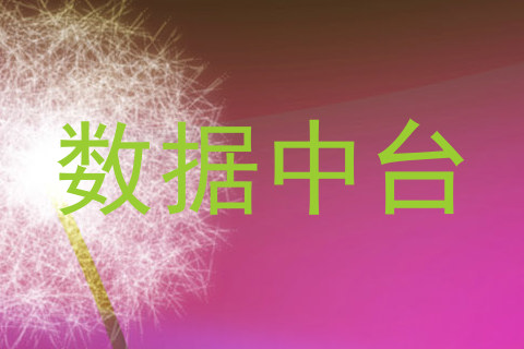 数据中台