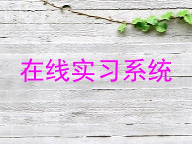 在线实习系统