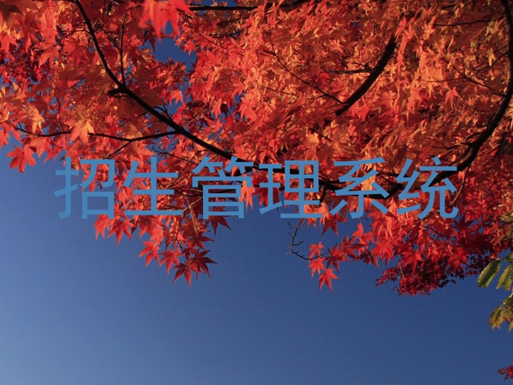 招生管理系统