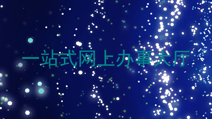 一站式网上办事大厅