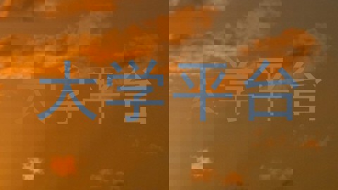大学平台