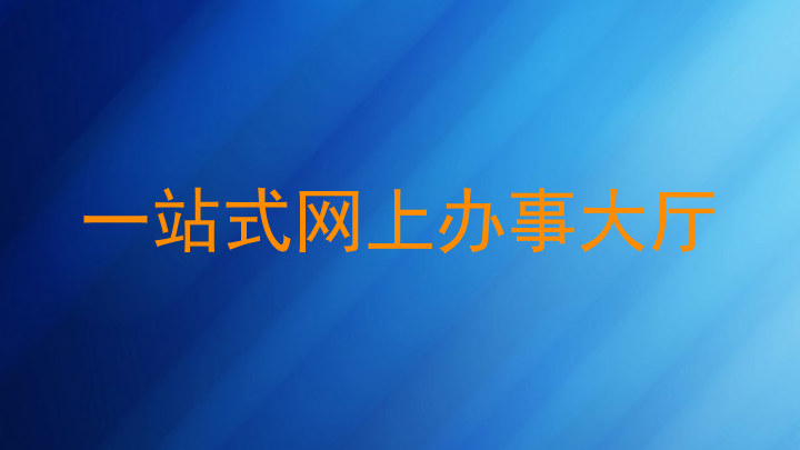 一站式网上办事大厅