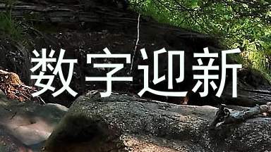 数字迎新