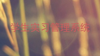 学生实习管理系统