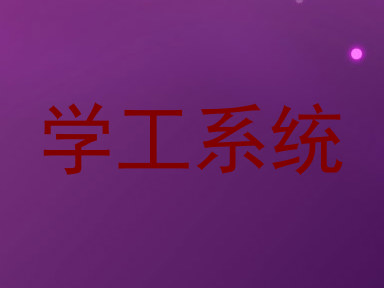 学工系统