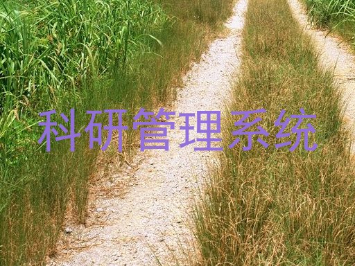 科研管理系统