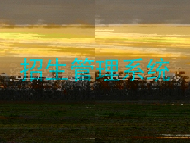 招生管理系统