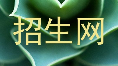 招生网