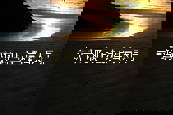 一站式网上办事大厅