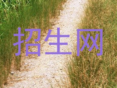 招生网