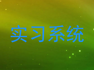 实习系统