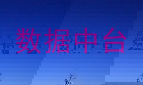 数据中台