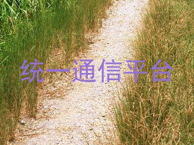 统一通信平台