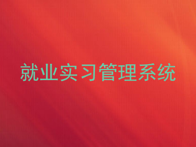 就业实习管理系统