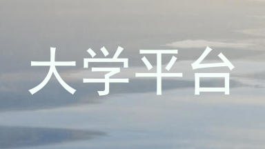 大学平台