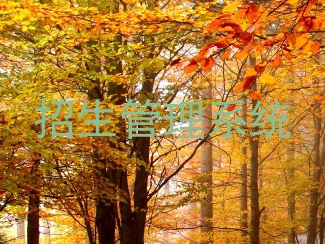 招生管理系统