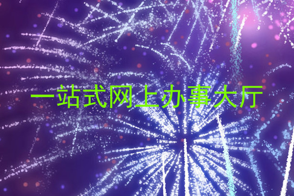 一站式网上办事大厅