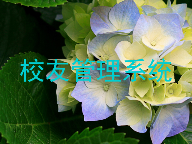 校友管理系统