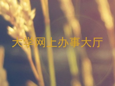 大学网上办事大厅