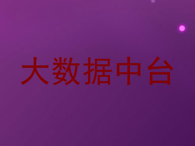 大数据中台