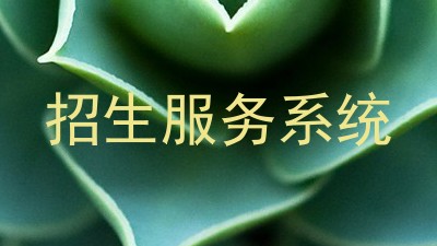 招生服务系统