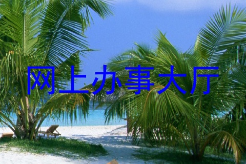 网上办事大厅