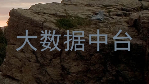 大数据中台