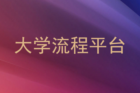 大学流程平台