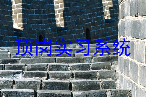 顶岗实习系统