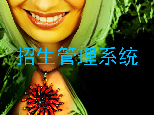 招生管理系统