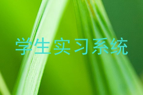 学生实习系统