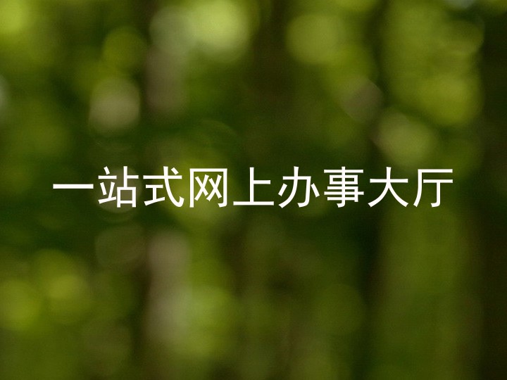 一站式网上办事大厅