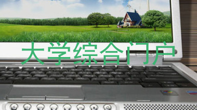 大学综合门户
