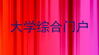 大学综合门户