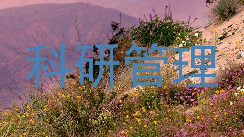 科研管理