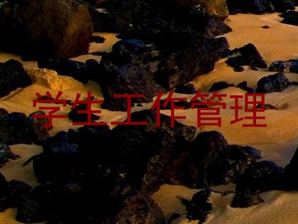 学生工作管理