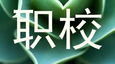 职校