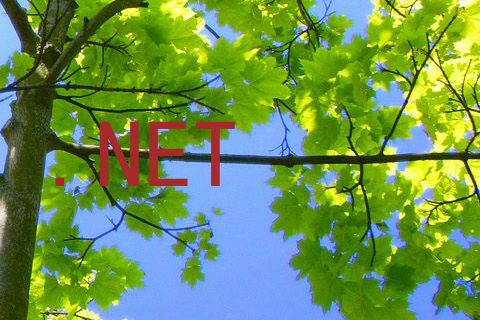 .NET