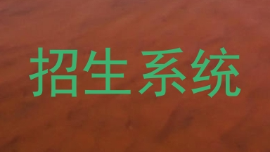 招生系统