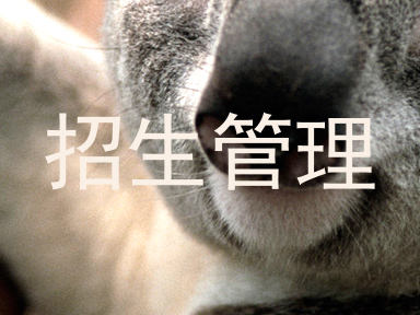 招生管理