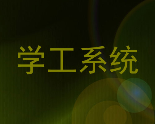 学工系统
